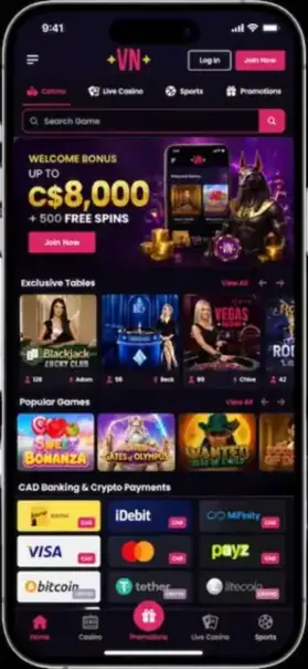 Exploring What players Get from the Mobile Version